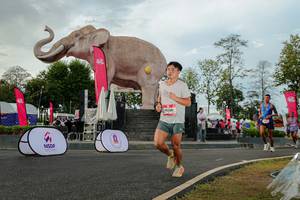 BIB: 
                            <button type="button" onclick="openModal(26528471)" class="btn btn-primary btn-sm float-right btn-popup" data-toggle="modal" data-target=".modal-high-quality">
                        <i class="fas fa-shopping-cart"></i> Add to Cart
                    </button>
                                            <button type="button" onclick="isThisMe(26528471, true)" class="btn btn-success btn-sm float-right btn-popup btn-isme hidden" data-toggle="tooltip" data-placement="bottom" title="นี่คือรูปของคุณใช่ไหม คลิกที่นี่เพื่อเอาเข้าอัลบั้ม">
                        <i class="fas fa-plus"></i> Add to album
                    </button>
                    <button type="button" onclick="isThisMe(26528471, false)" class="btn btn-warning btn-sm float-right btn-popup btn-isnotme hidden">
                        <i class="fas fa-ban"></i> Remove from album
                    </button>